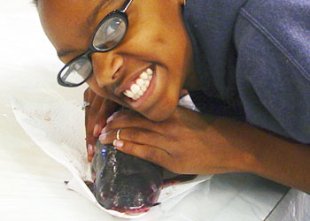 Alona3460