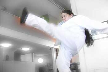 Roundhouse kick