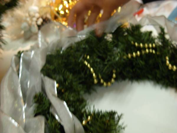 DSCN0568